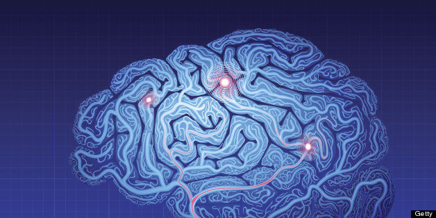 human brain mapping impact