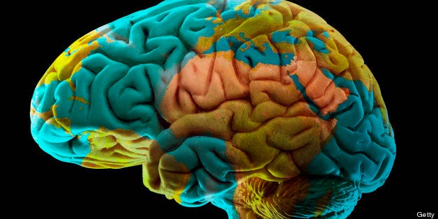 Composition of human brain model and world map