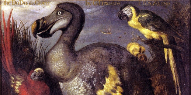 Scientists just took a step closer to resurrecting the dodo