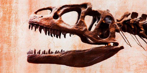 Invest in T. Rex? Dinosaur Collecting Booms But Fossils Belong in
