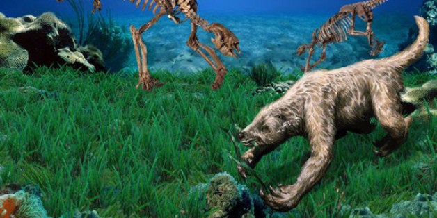 land animal fossils