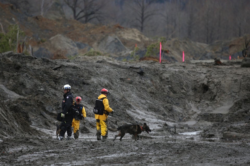 Search Efforts Continue For Mudslide Victims