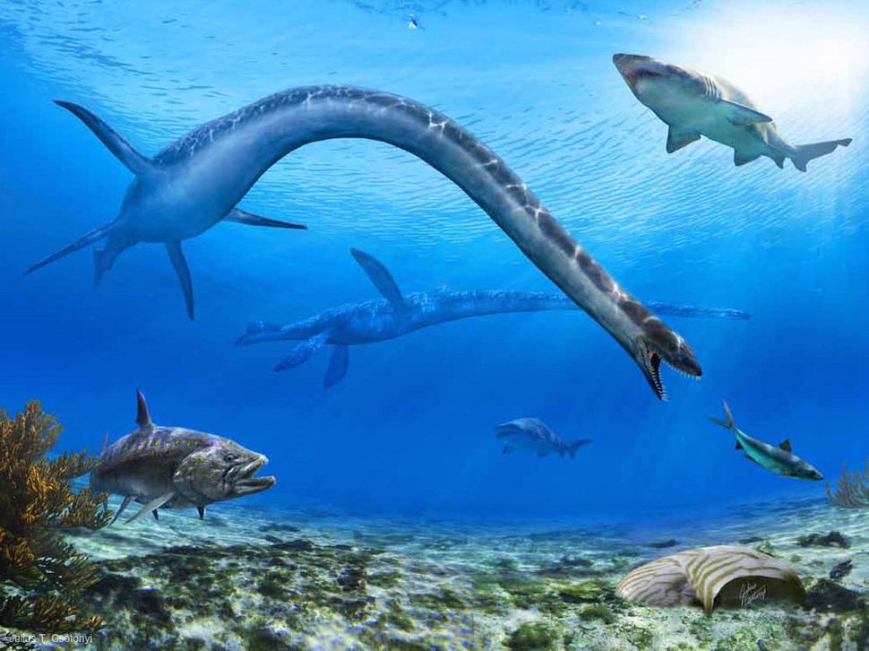 Stunning 'Paleoart' Will Beam You Back Into A Ferocious Prehistoric ...