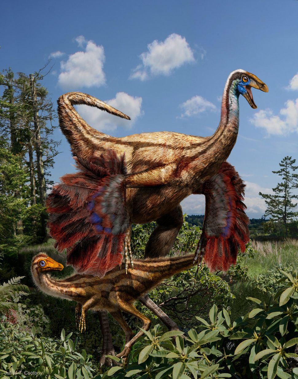 dinosaur avian