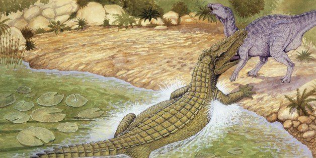 UNSPECIFIED - AUGUST 14: Illustration of Deinosuchus catching prey (Photo by De Agostini Picture Library/De Agostini/Getty Images)