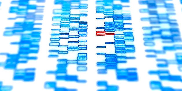 DNA gel with CATG genetic code - Cytosine, Adenine, Thymine and Guanine are amino acids that form the basic building blocks of DNA.