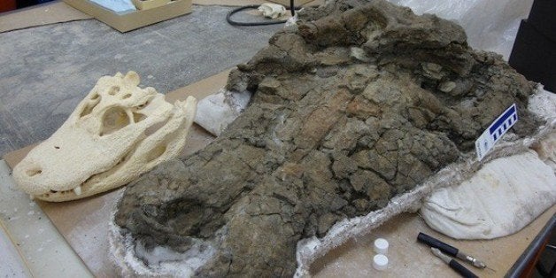 Meet 'Anthracosuchus balrogus,' The 900-Pound Prehistoric Crocodile | HuffPost Impact