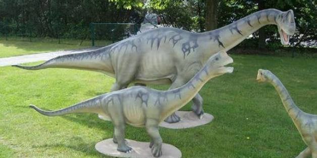 Pocket Sauropod Fossils Show Evolution Of Giant Dinosaurs Little Cousins