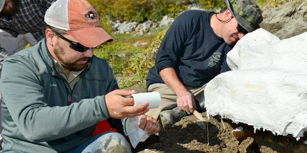In this Oct. 16, 2014 photo provided by the Bureau of Reclamation, Idaho State University geology students Travis Helm, left, and Jeff Castro apply plaster to a mammoth skull specimen discovered near American Falls Reservoir near American Falls, Idaho. A portion of a mammoth skull and tusk have been uncovered in southeastern Idaho near American Falls Reservoir. The bones have been taken to the Idaho Museum of Natural history at Idaho State University in Pocatello where they will eventually be put on display. (AP Photo/Bureau of Reclamation, Dave Walsh)