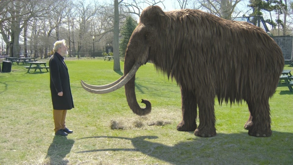 Cloning A Woolly Mammoth 2024 - Ally Norean