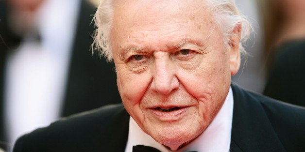 LONDON, ENGLAND - MAY 18: Sir David Attenborough attends the Arqiva British Academy Television Awards at Theatre Royal on May 18, 2014 in London, England. (Photo by Dave J Hogan/Getty Images)