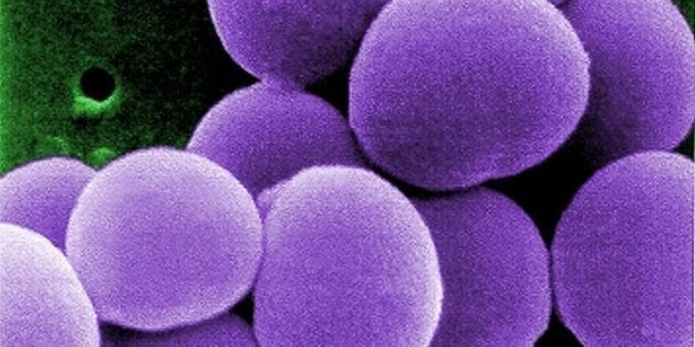 your body is made up of trillions of microscopic machines huffpost