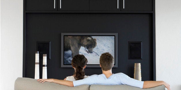 Back view of couple watching wildlife movie on television in living room