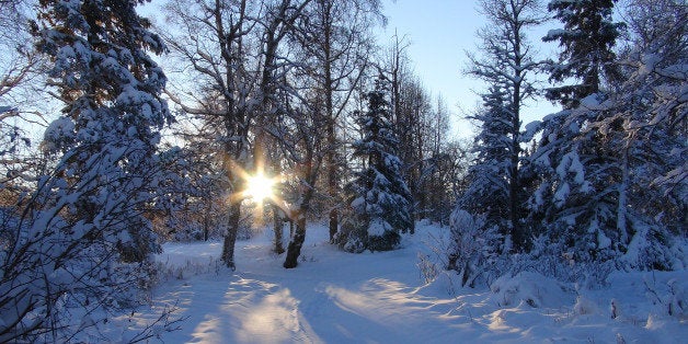 I was exploring Kincaid Park near Anchorage looking for Moose to photograph when I came upon this scene. It's actually a sti