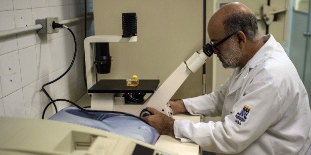 Brazilian virologist Gubio Soares works at the Science and Health institute in Salvador, Brazil on January 28, 2016. Soares i