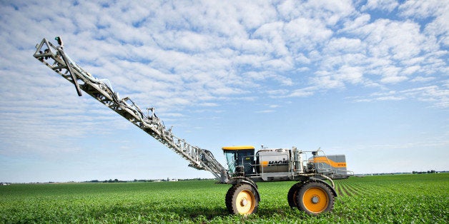 Farmer Matt Wiggeim sprays corn plants with a mist of weed killer, fungicide, and fertilizer using a Hagie Manufacturing Co.