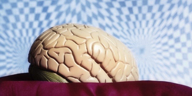 An anatomical model of the human brain sits in front of a distorted, psychedelic looking background. Symbolizing psychedelic