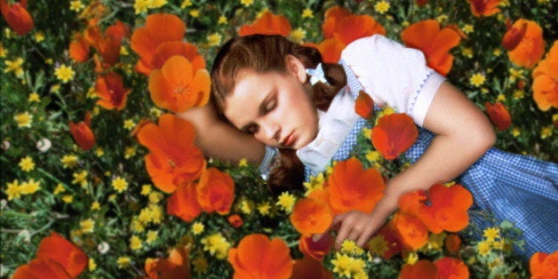 Judy Garland (1922-1969), US actress and singer, sleeping in a field of red poppies and yellow flowers in a publicity still i