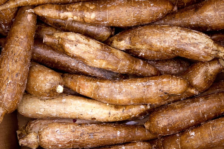 cassava