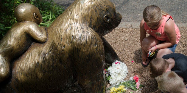 Children pause at the feet of a gorilla statue where flowers and a sympathy card have been placed, outside the Gorilla World exhibit at the Cincinnati Zoo & Botanical Garden, Sunday, May 29, 2016, in Cincinnati. On Saturday, a special zoo response team shot and killed Harambe, a 17-year-old gorilla, that grabbed and dragged a 3-year-old boy who fell into the gorilla exhibit moat. Authorities said the boy is expected to recover. He was taken to Cincinnati Children's Hospital Medical Center. (AP Photo/John Minchillo)