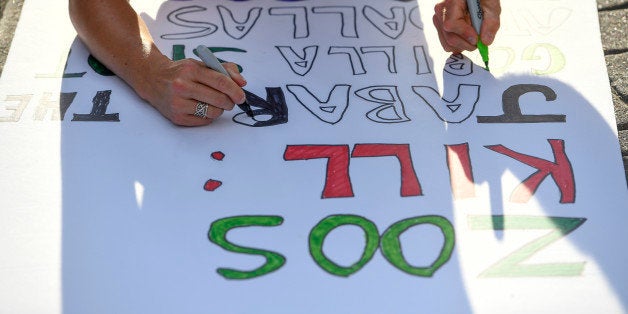 DENVER, CO - JUNE 03: Protesters work on a sign during a vigil June 3, 2016, 2016 at the Denver Zoo. This is in remembrance of Harambe, a 17-year old endangered gorilla shot and killed at the Cincinnati zoo after 3-year-old boy fell into his enclosure. Harambe had to be put down to get the boy out. The goal of this vigil is to educate the public about the many senseless tragedies that occur daily in zoos across the world, said organizers. (Photo By John Leyba/The Denver Post via Getty Images)