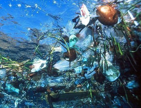 Plastic Island: Ocean Currents Funnel Trash