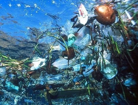 How Currents Carry Marine Debris to the Hawaiian Islands