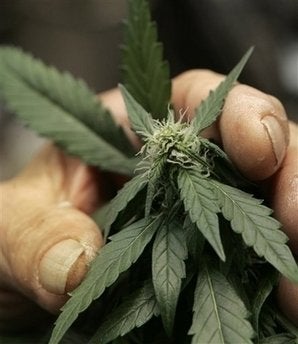 Marijuana Activist Group Wants Pot OK'd In Airport Smoking