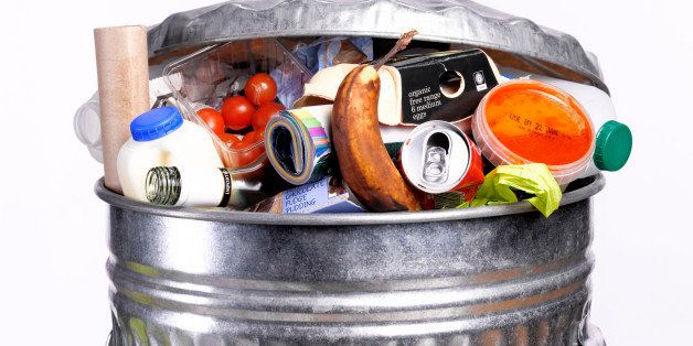Out of date rotting food in dustbin