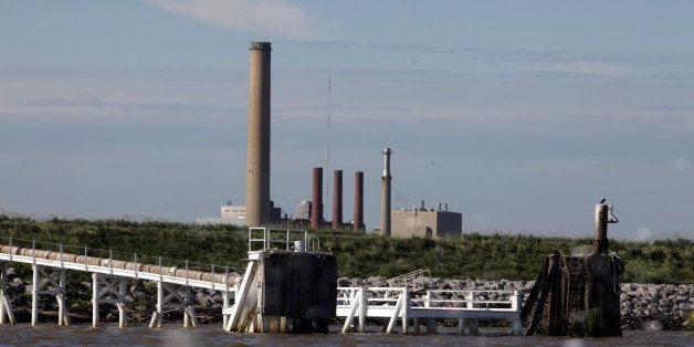 Large numbers of fish die in the cooling intakes at the Bay Shore coal plant on Maumee Bay in Oregon, Ohio. (Nancy Stone/Chicago Tribune/MCT via Getty Images)