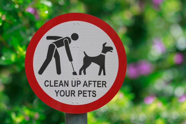 Pet Waste Removal Indianapolis In