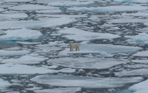 Watch Out Cows -- The Siberian Shelf Makes a Lot of Methane, Too ...