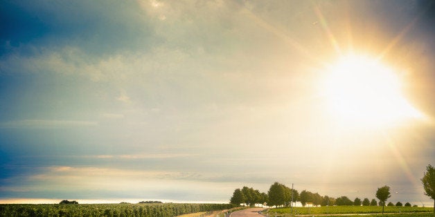 Germany, Saxony, Road through farm land