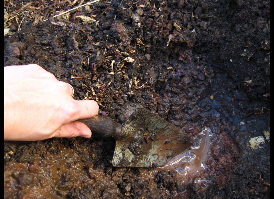 1. Start With The Soil