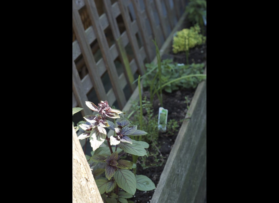 1. Start An Herb Garden