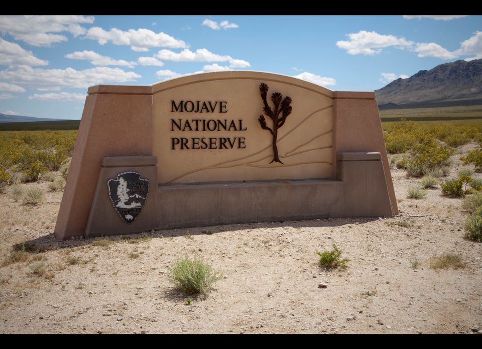 7. Mojave National Preserve, CA