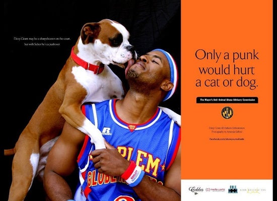 Show Your Soft Side' Animal Rights Campaign Features Burly Baltimore Celebrities | HuffPost Impact Show Your Soft Side' Animal Rights Campaign Features Burly Baltimore Celebrities | HuffPost Impact