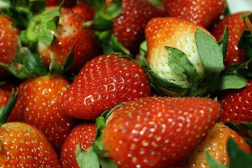 Growing strawberries in the home garden