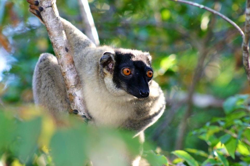 #10 Madagascar, Indian Ocean