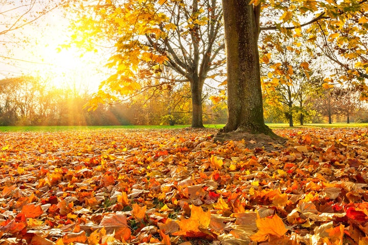 Seasons Endings and Beginnings | HuffPost Impact