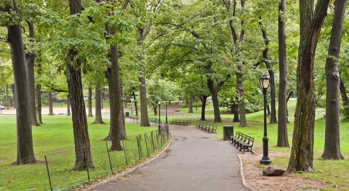 Description 1 One of the paths in en:Central Park | Central Park in en:New York | New York . 1 Uno de los senderos en es:Central Park | ... 