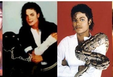 Michael Jackson's Animals: Where Are They Now? | HuffPost Impact Michael Jackson's Animals: Where Are They Now? | HuffPost Impact