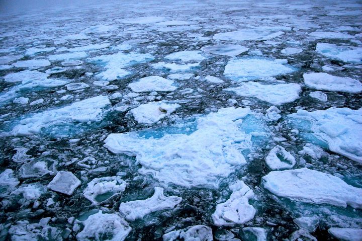 Category:Arctic sea ice. GFDL | cc-by-sa-3.0,2.5,2.0,1.0 