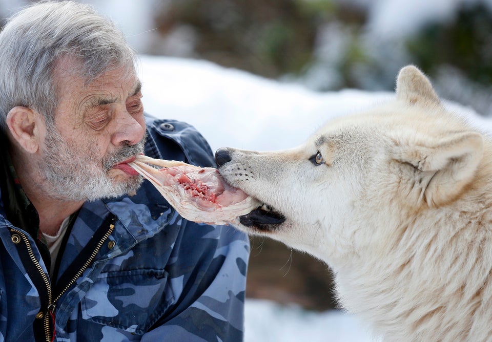 Werner Freund Wolf Man