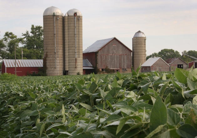 Bad Seed Farm In Kansas City Brings Urban Farming To The Next Level Legislation Huffpost
