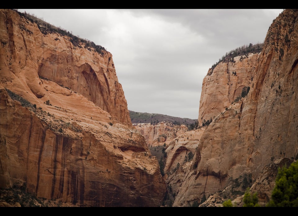 Zion National Park