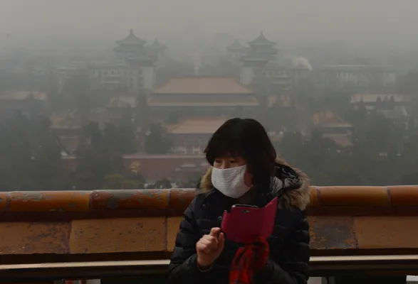 Hairy Leggings Hot In China To Avoid Perverts