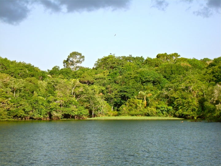 The clear water in Tapajós River with the conserves shores in Amazon, Brasil.