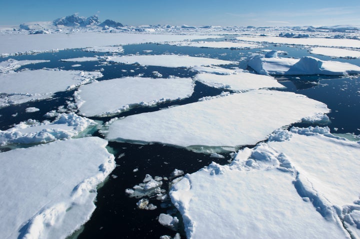 Thick ice floes float on the Southern Ocean on a sunny day in Antarctica.