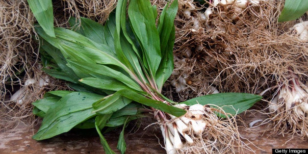 Ramps